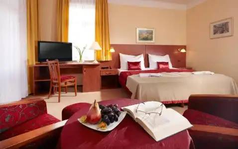 Spa Resort PAWLIK-AQUAFORUM - 82