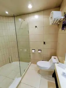 Holiday Inn Express Mexico Basilica by IHG - 7