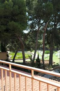 El Cisne - 30