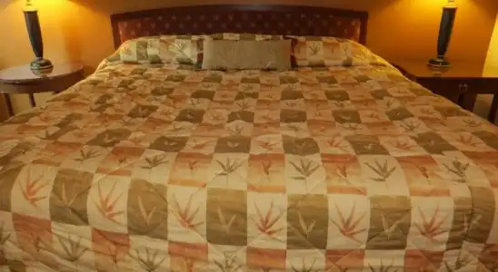 Cameo Motel - Portland - 2