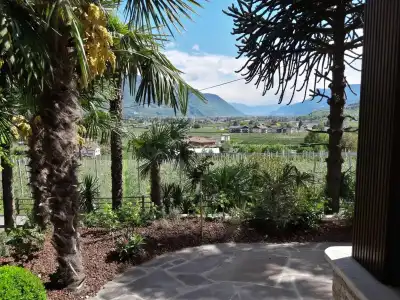Ruster Resort - 8