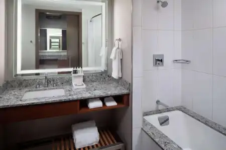 DoubleTree by Hilton Rochester Mayo Clinic Area - 55
