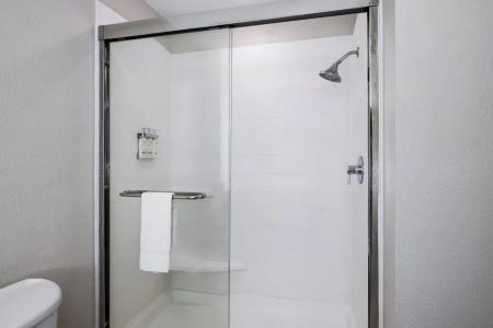 Holiday Inn Express St. Petersburg North (I-275) by IHG - 24