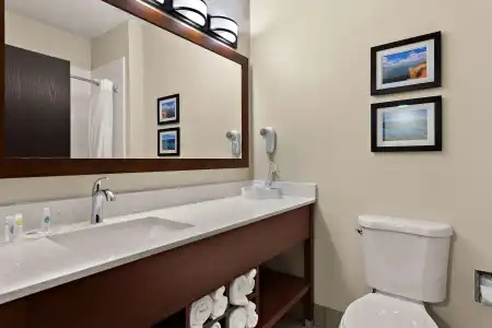 Comfort Suites University Las Cruces - 62