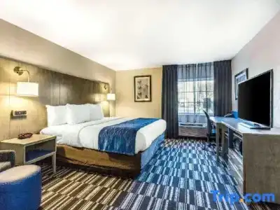 Absolute Twin Sands Resort & Spa - 126