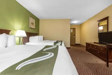Quality Inn & Suites Bloomington University Area - 6