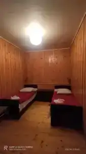 Shaulini - 48
