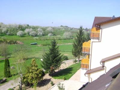 Hotel-Gasthof Rose - 40