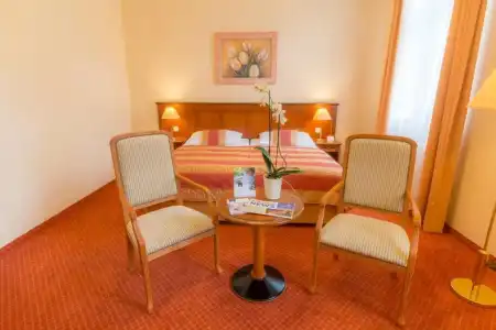 Danubius Health Spa Resort Centrální Lázne - 73