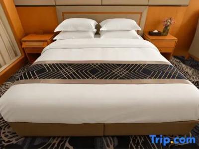 SciTechˑChina NARADA - 218