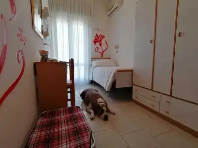 Kristalex Pet Family - 4