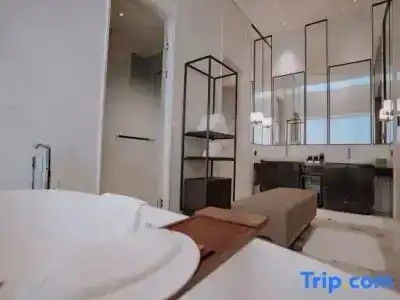 Pullman - 102