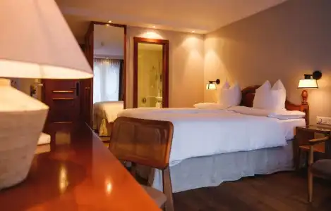 the rex, Zermatt - 28
