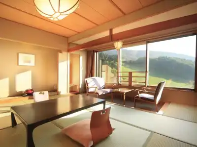 Zao International - 54