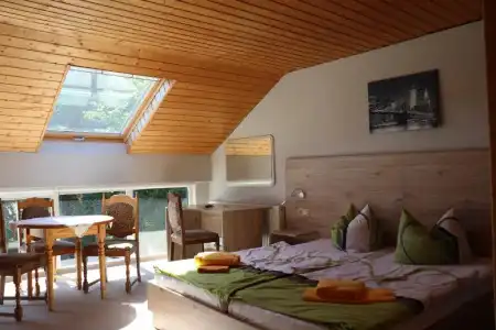 Pension Hubertushof Freiberg - 1