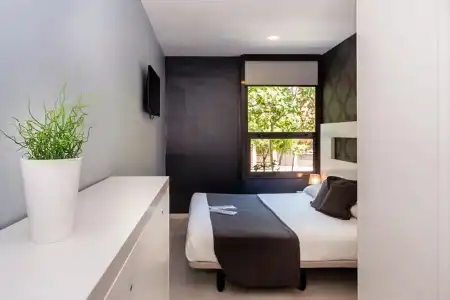Green House - 3