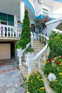 Divo Palace - 12