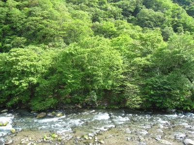 Koduchi no Yado Tsurukamedaikichi - 12