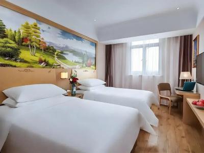 Vienna - 6
