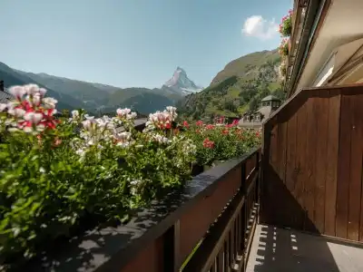 Bella Vista - 17