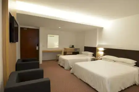 VIP (SG Clean Certified) - 29