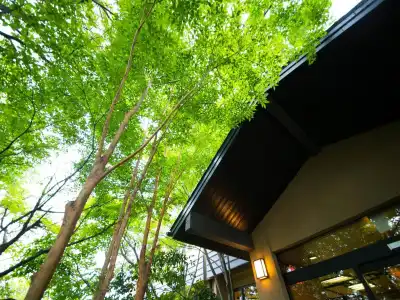 Yunosato Hayama - 8