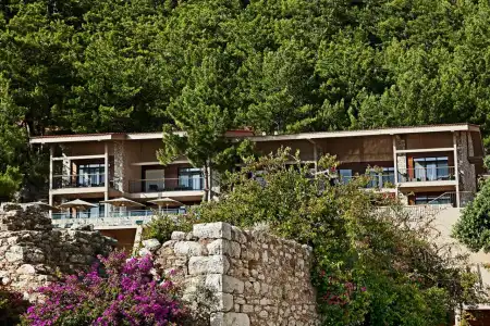 Martı Hemithea - 47