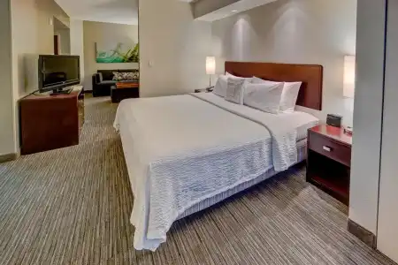SpringHill Suites by Marriott Naples - 32