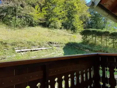 Gasperin Bohinj - 71