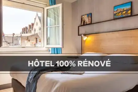 ibis Blois Centre Chateau - 44