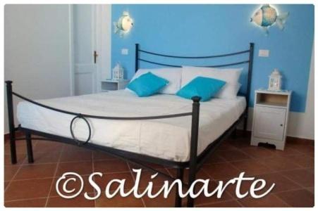 SalinArte - 13