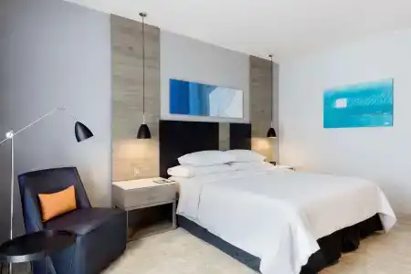 Hilton Garden Inn Mexico City Santa Fe - 4