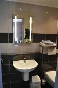 Hôtel Le Dauphin Bleu - 69