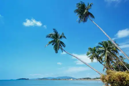 ibis Samui Bophut - 27