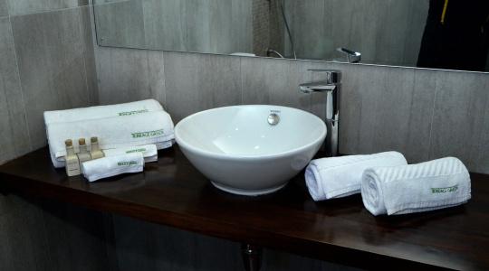 Terrace Green & Spa - 6