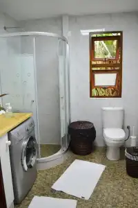 Cashew Nut Grove Chalets - 3