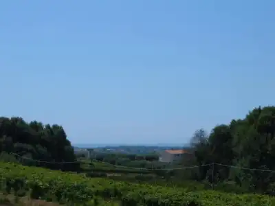Azienda Agricola Sinisi - 47