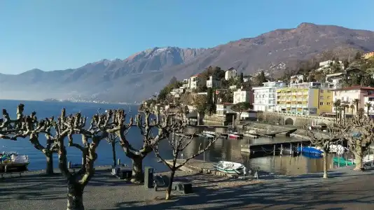 Elvezia Ascona - 10