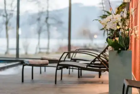 Luxury Villa – Deltapark - 13