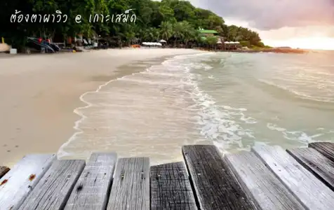 Tongta Phaview - 34