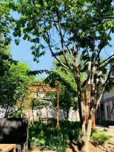 Topchan Hostel Dushanbe - 10