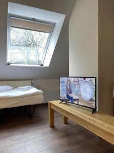 Luther Birke Wittenberg - 33