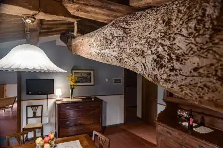 Tenuta Il Corno - 80