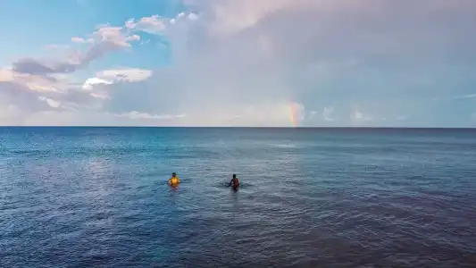 The Maverick Surf and Dive Boutique - 13