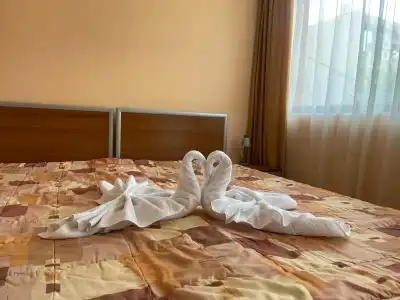 Sofia - 25