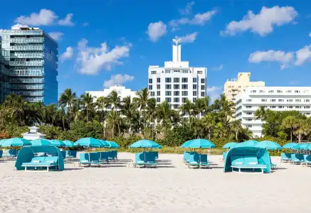 The Palms & Spa - 40