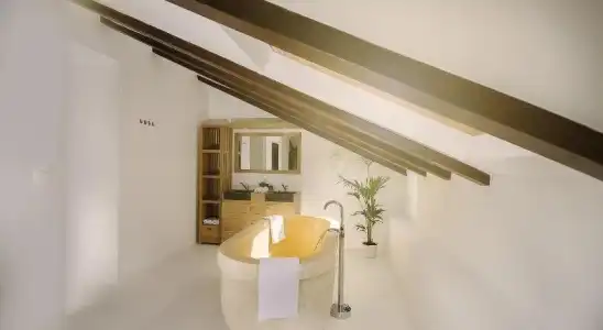 Dolphin Suites - 16