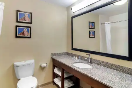 Comfort Inn & Suites Macon North I-75 - 7