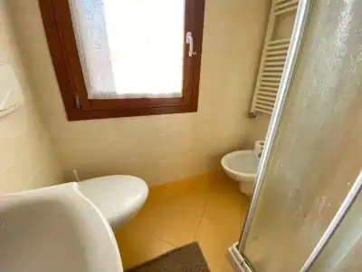 Ragno D'Oro - 36