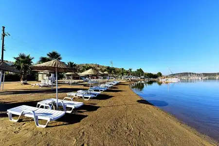 Tropicana Beach - 9